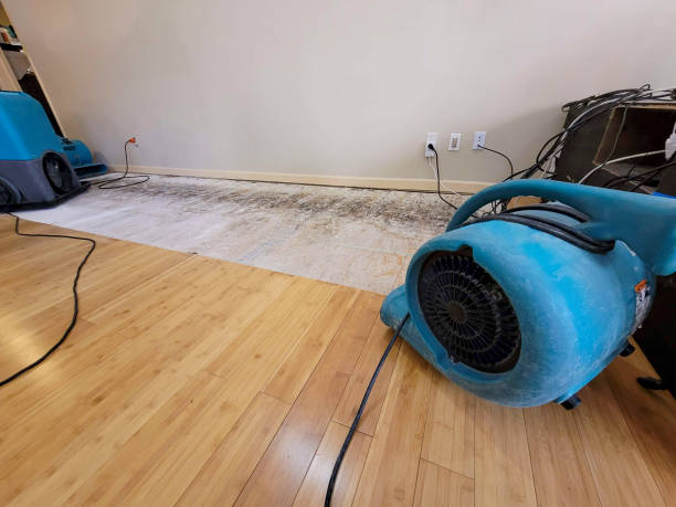 Professional Flood Damage Cleanup technician working in Marion, IA